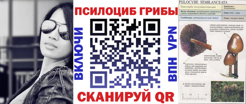 Купить  Фролово  Галлюциногенные грибы ЛСД 